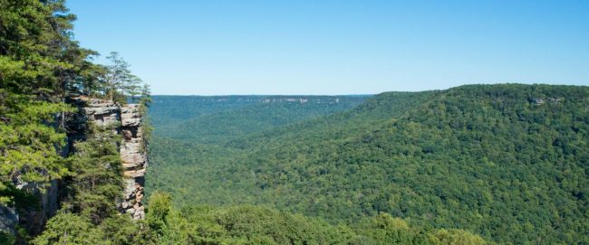views from the top of the South Cumberland state park