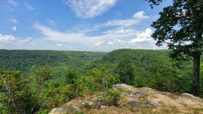 view from the top of the Southern Cumberland Plateau