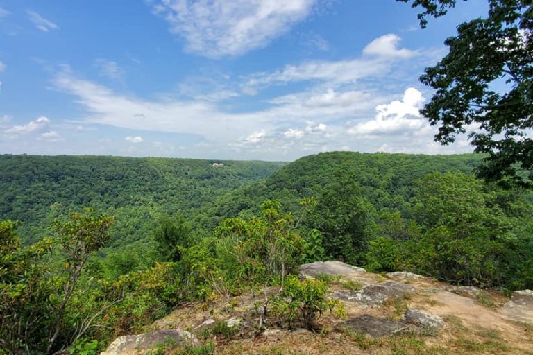 view from the top of the Southern Cumberland Plateau