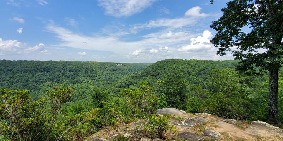 view from the top of the Southern Cumberland Plateau