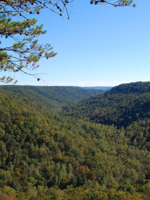 fiery gizzard trail overlook view