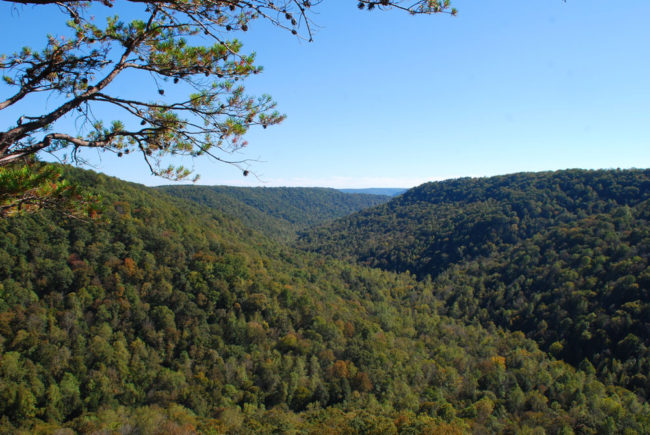fiery gizzard trail overlook view